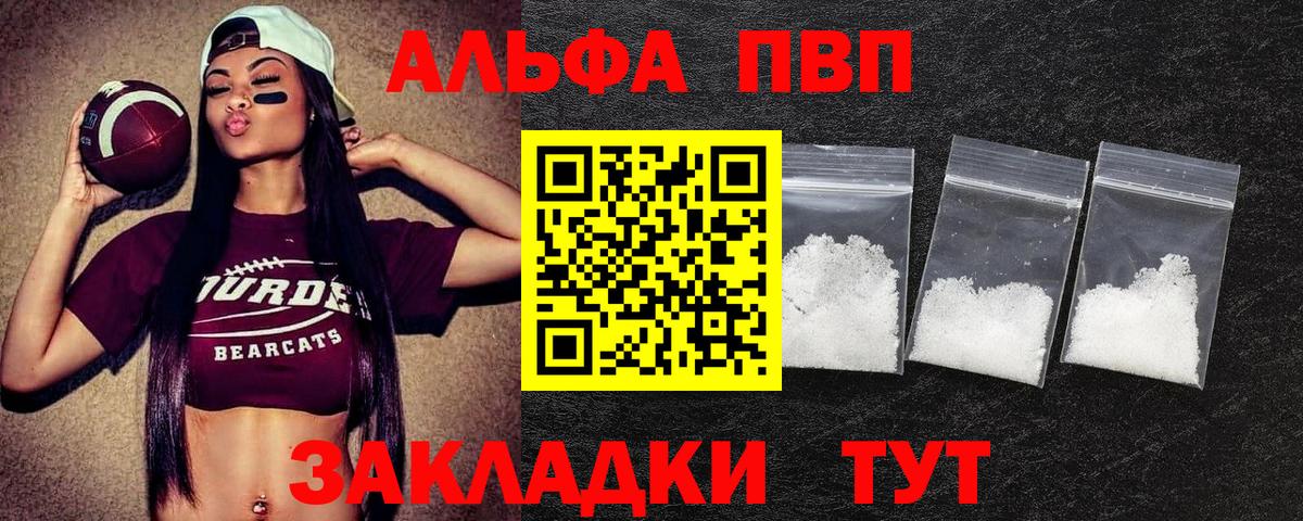 Альфа ПВП СК Северск