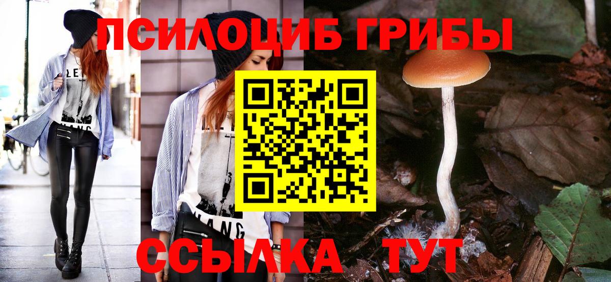 Галлюциногенные грибы Psilocybe  Галлюциногенные грибы ЛСД  Вход с VPN  Северск 