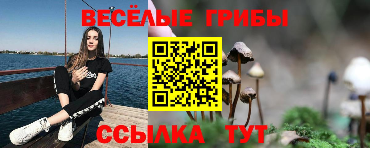 Галлюциногенные грибы мицелий Северск